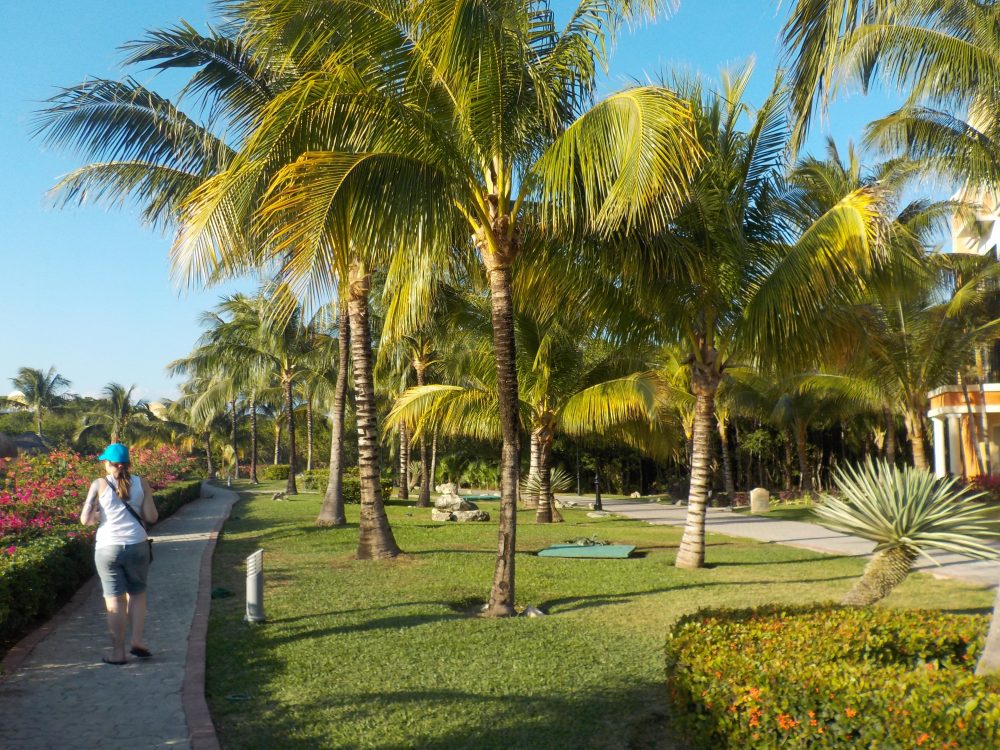 Mehr über den Artikel erfahren Wir erkunden die Anlage