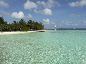 Mehr über den Artikel erfahren Entspannung pur