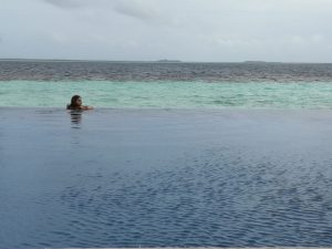 Mehr über den Artikel erfahren Die vergebene Suche nach Delfinen