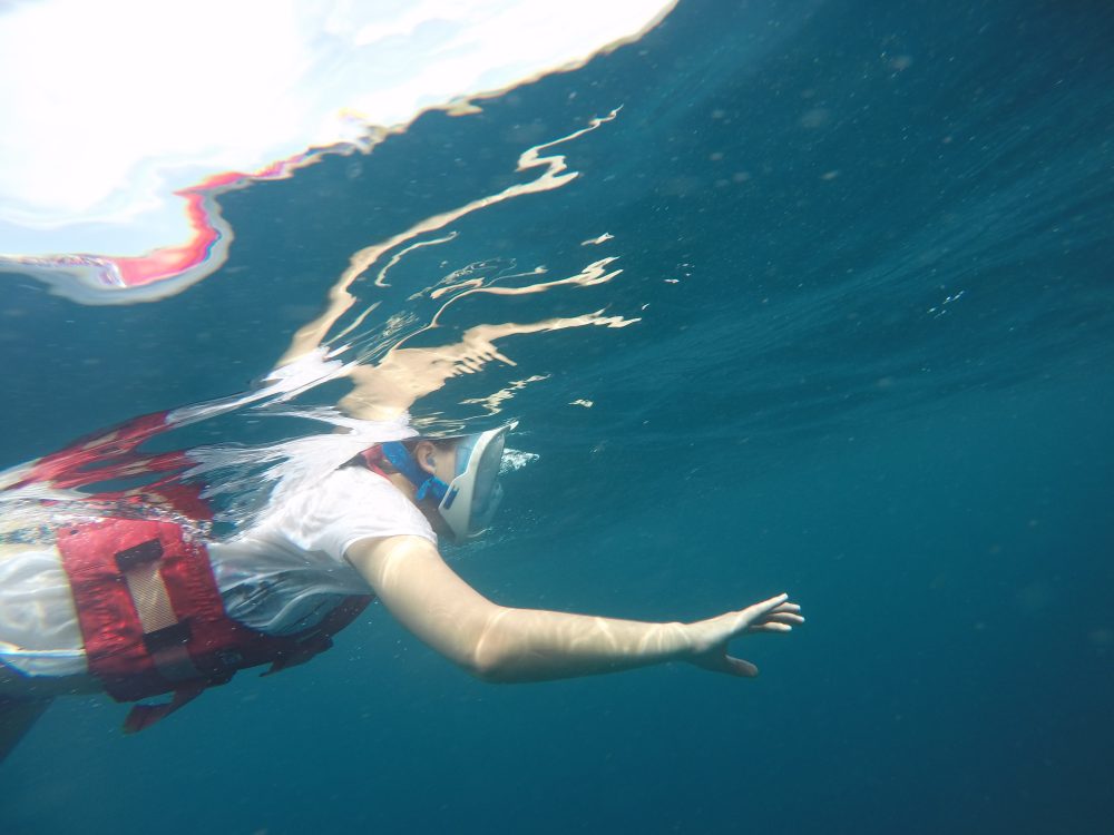 Mehr über den Artikel erfahren Mantarochen