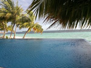 Mehr über den Artikel erfahren Zurück ins Paradies