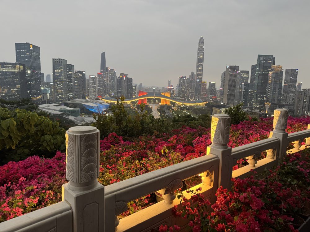 Mehr über den Artikel erfahren Mit Didi durch Shenzhen